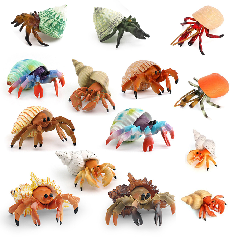 Kids Toys 3 Year Old - Figura realista de cangrejo ermitaño, figuras