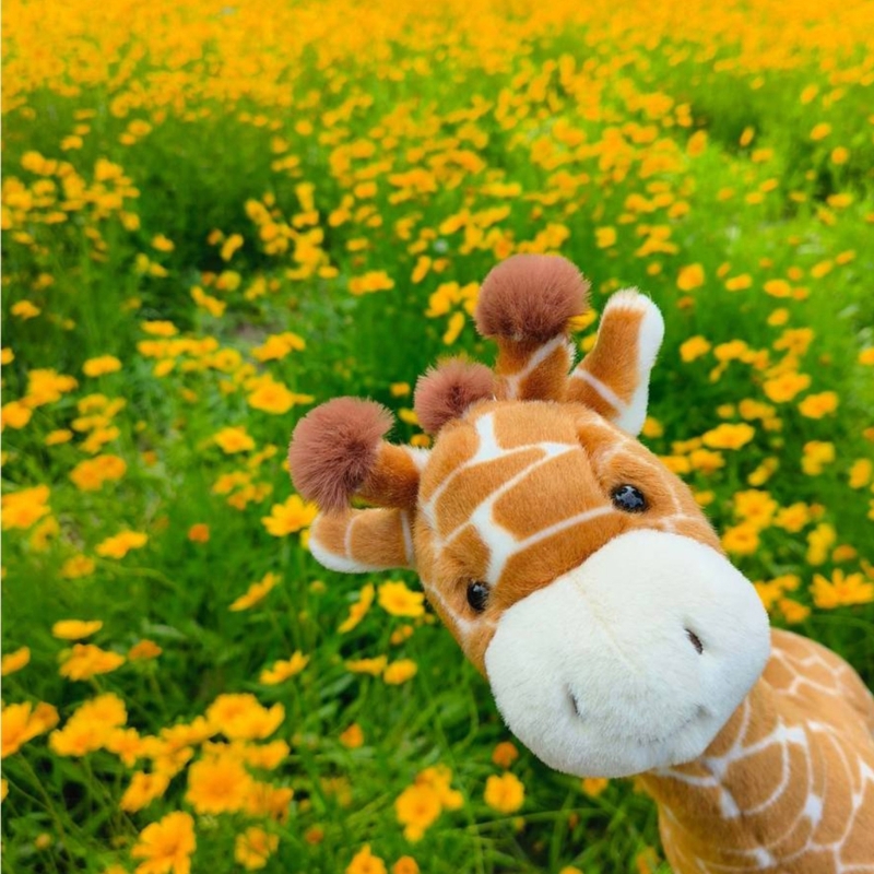 Peluche jirafa muy suave para  - Kids Toys Very reseña y precio