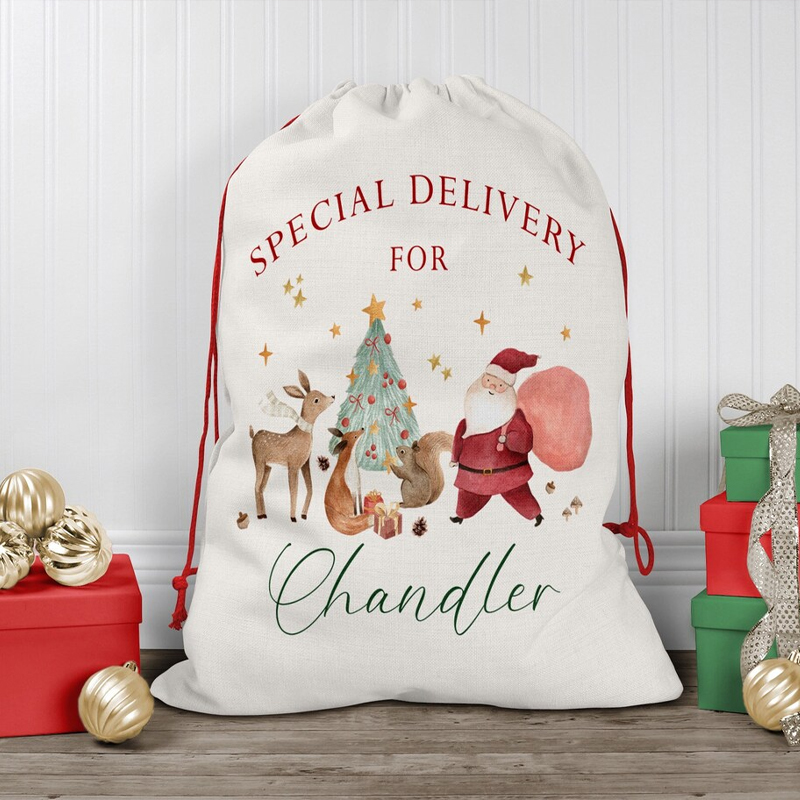 Bolsa de regalo con cordón de  - Kids Toys Names reseña y precio